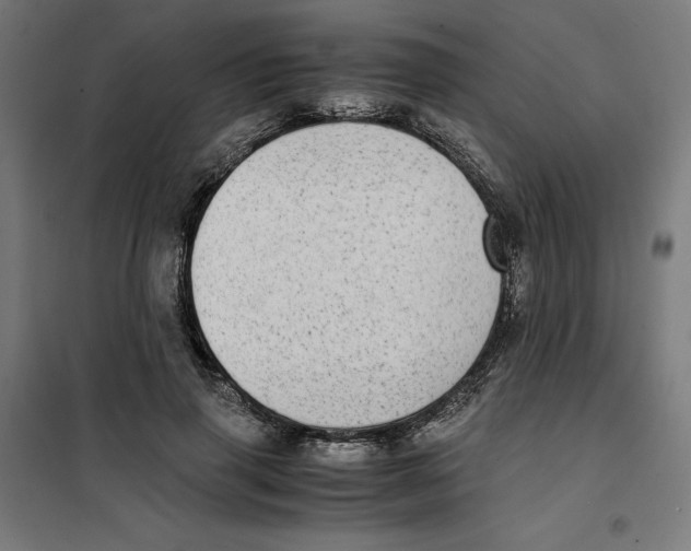 X0000101190645200807251004