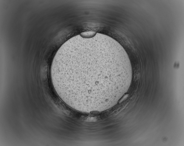 X0000101190647200807251004