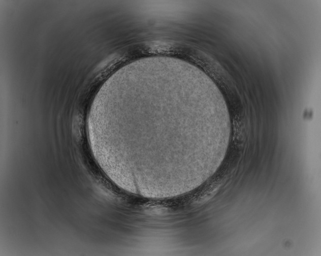 X0000101190648200807251004