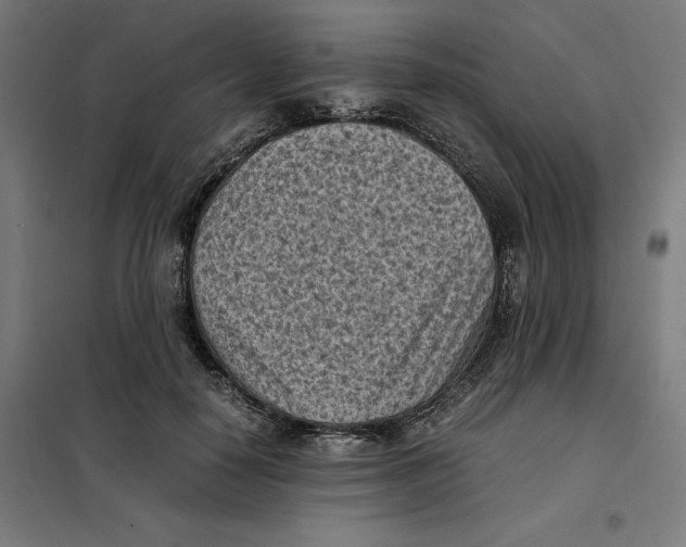 X0000101190650200807251004