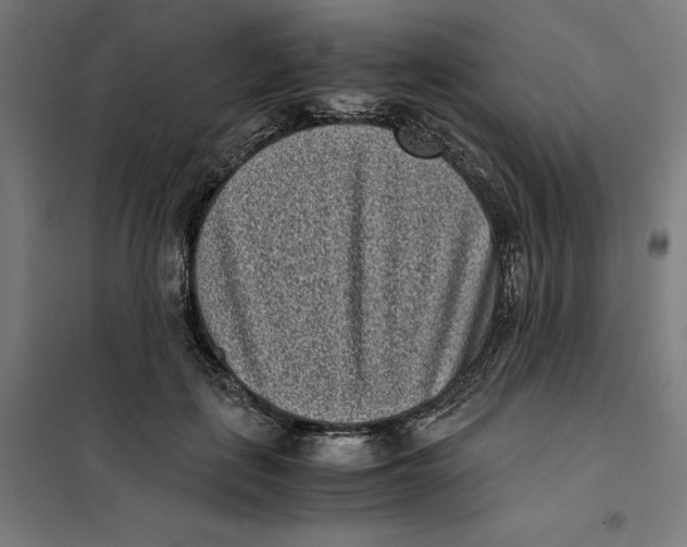 X0000101190651200807251004