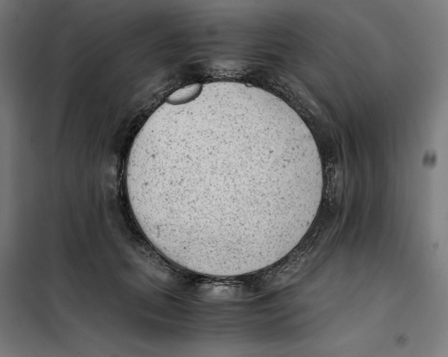 X0000101190655200807251004