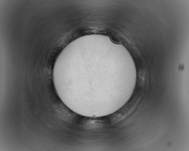 X0000101190657200807251004