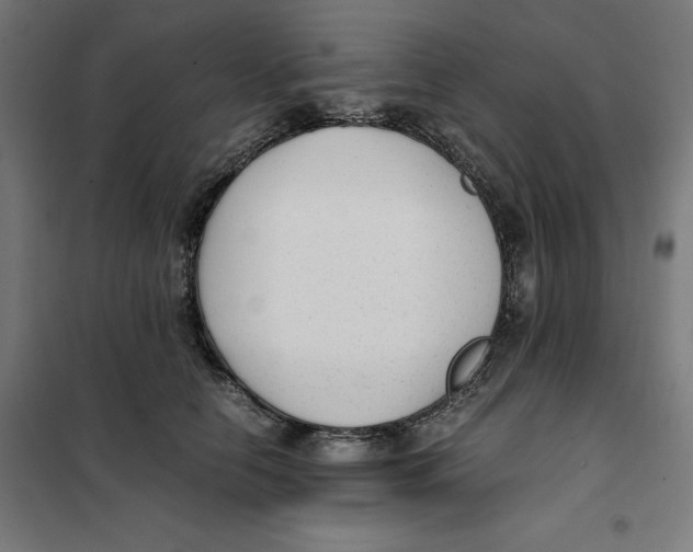 X0000101190658200807251004