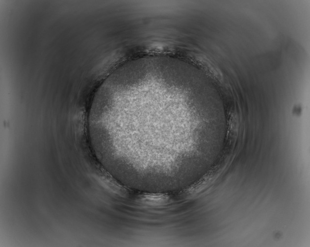 X0000101190659200807251004