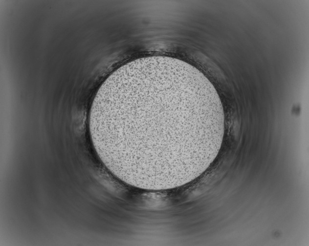 X0000101190660200807251004