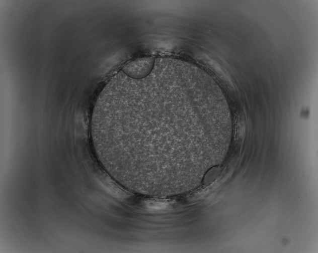 X0000101190661200807251004