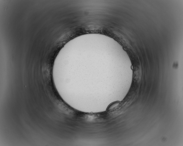 X0000101190662200807251004
