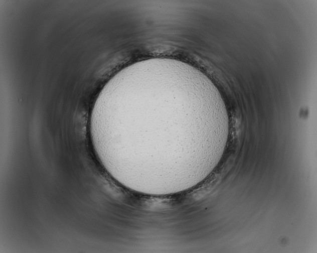 X0000101190664200807251004