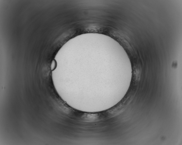X0000101190665200807251004