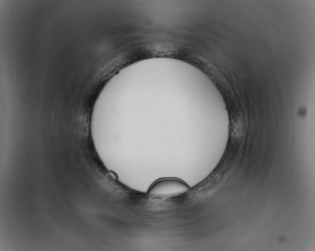X0000101190666200807251004