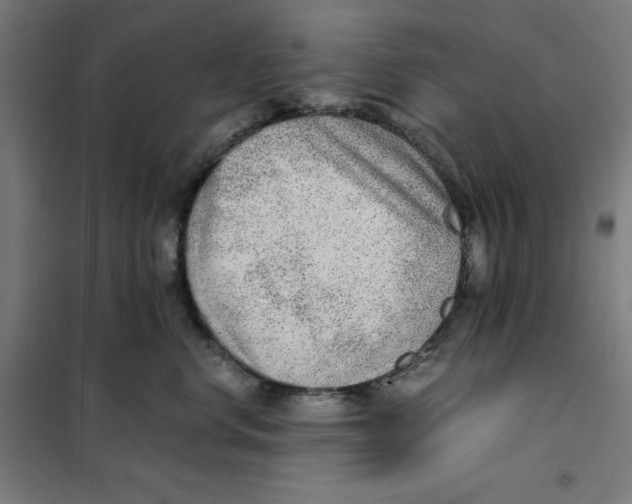 X0000101190668200807251004
