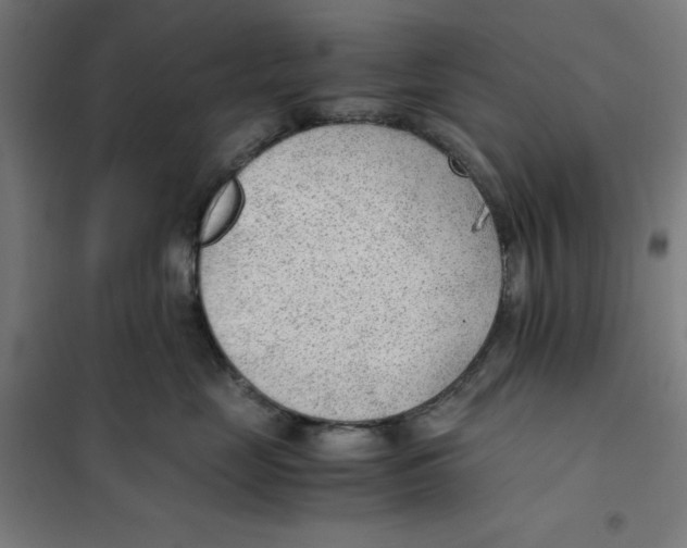 X0000101190669200807251004