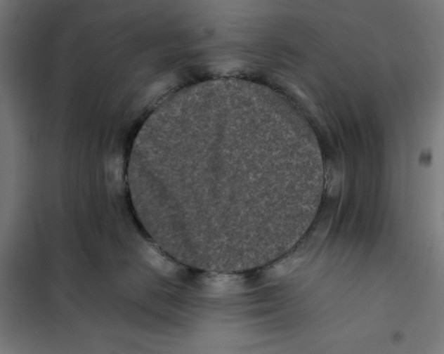 X0000101190670200807251004