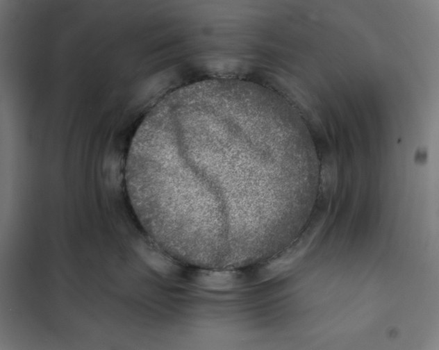 X0000101190671200807251004