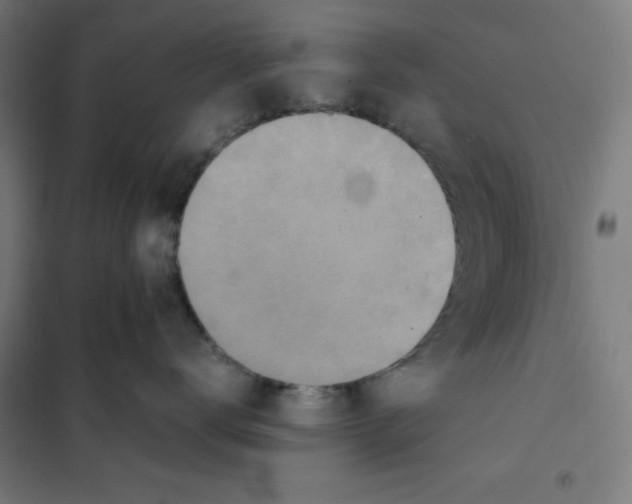 X0000101190672200807251004
