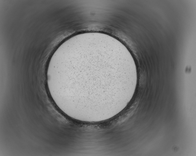 X0000101190673200807251003