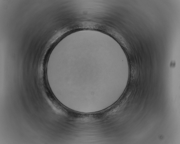 X0000101190674200807251003