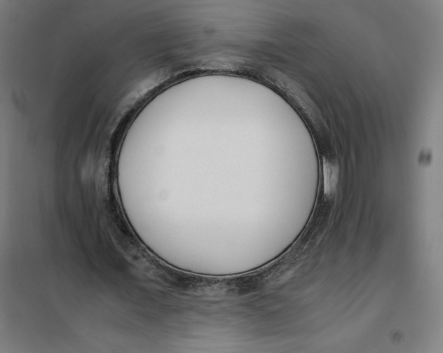 X0000101190675200807251003