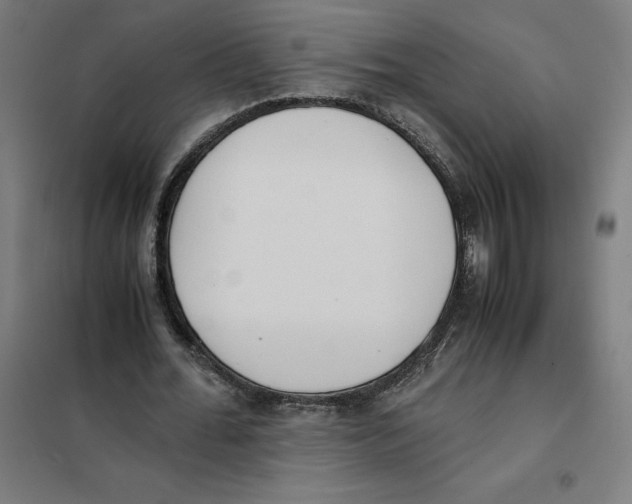 X0000101190676200807251003