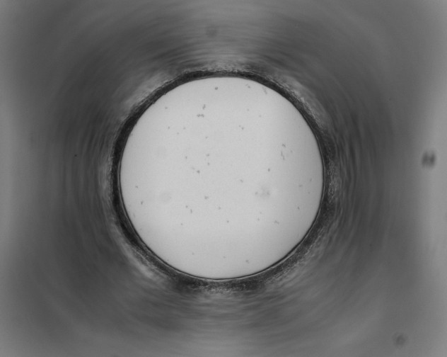 X0000101190677200807251003
