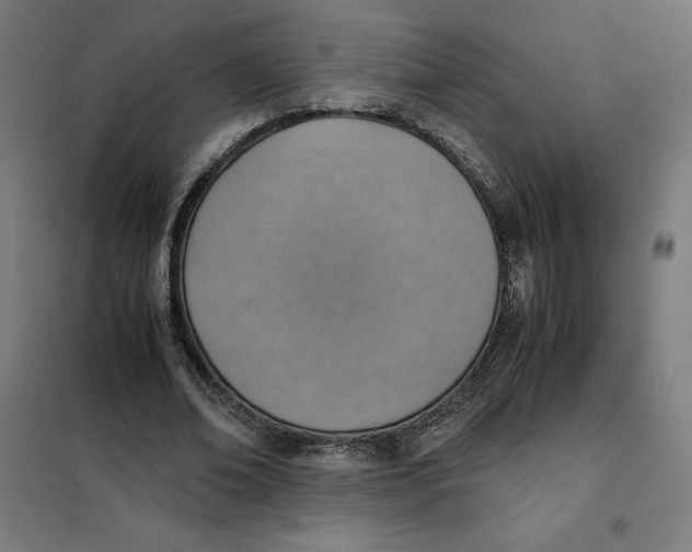 X0000101190678200807251003