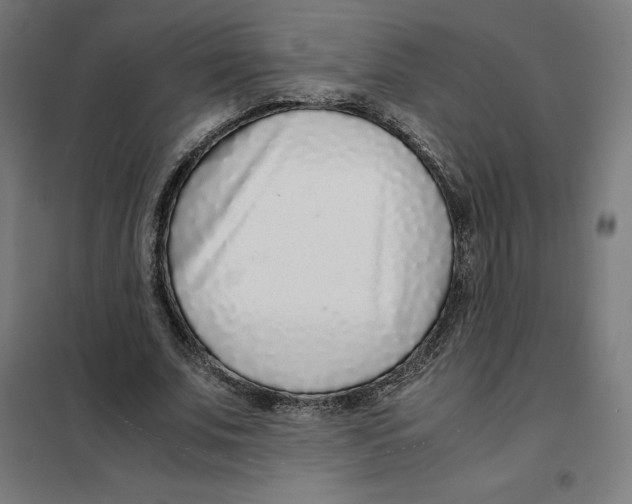 X0000101190679200807251003