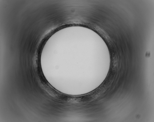 X0000101190680200807251003