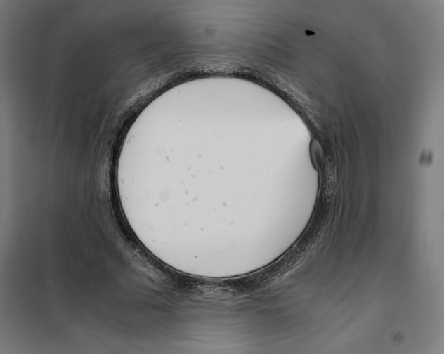 X0000101190681200807251003