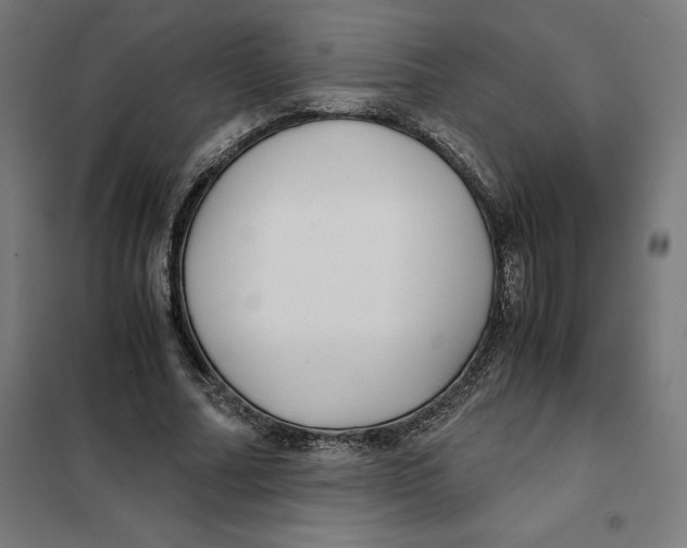 X0000101190682200807251003