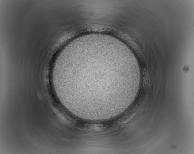 X0000101190683200807251003