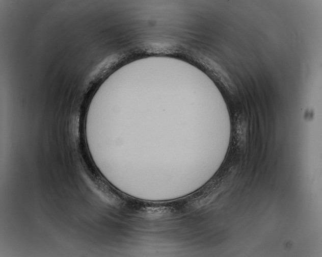 X0000101190686200807251003