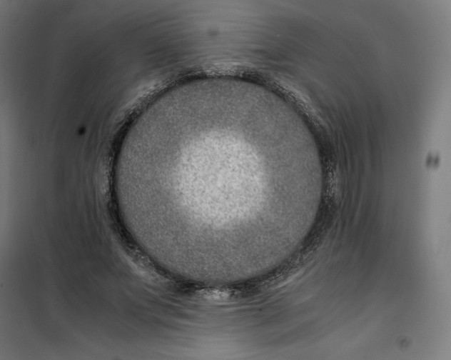 X0000101190687200807251003