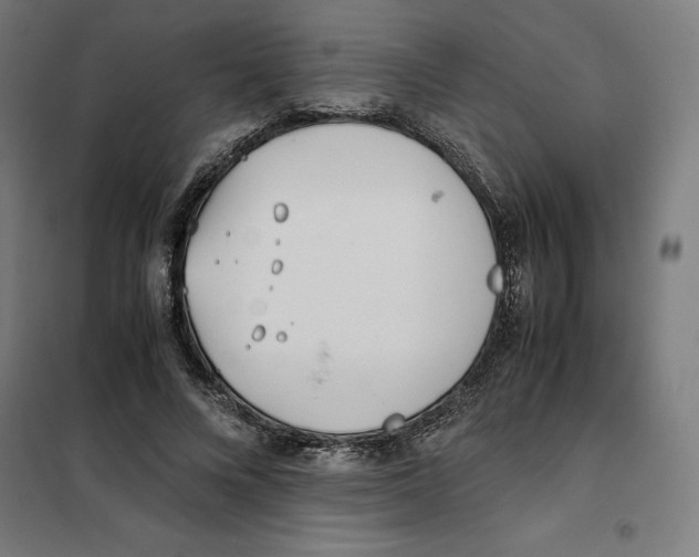 X0000101190688200807251003