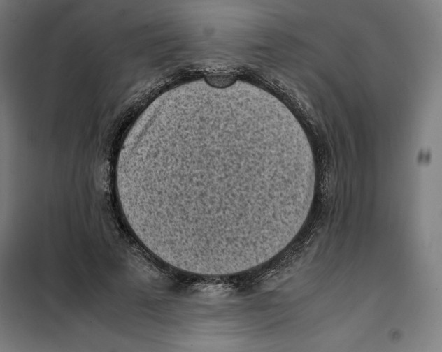 X0000101190689200807251003