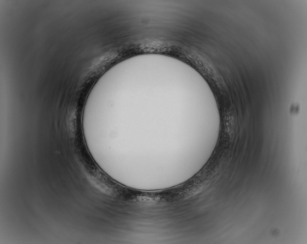 X0000101190690200807251003