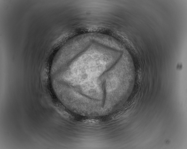 X0000101190691200807251003