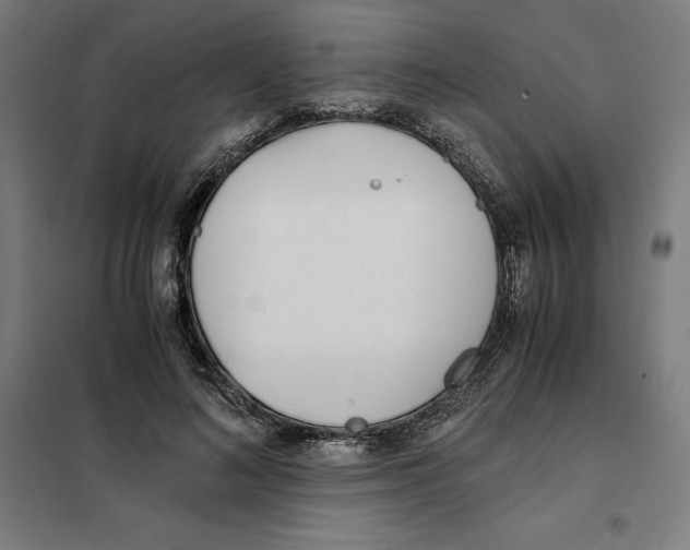 X0000101190692200807251003