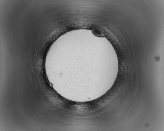 X0000101190693200807251003