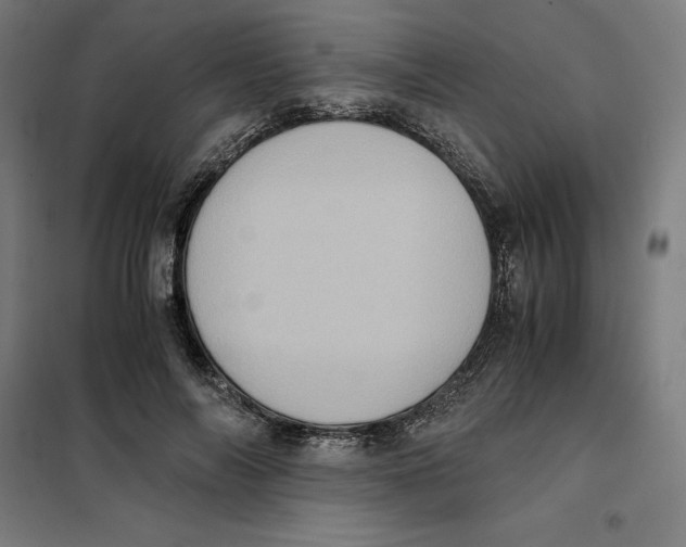 X0000101190694200807251003