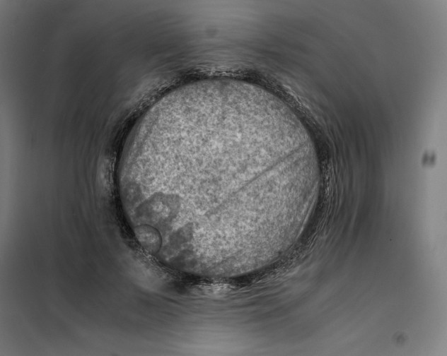 X0000101190695200807251003