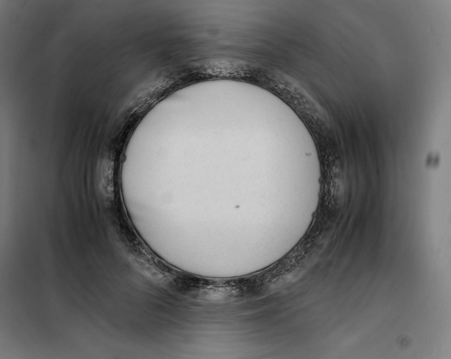 X0000101190696200807251003