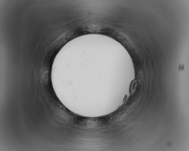 X0000101190697200807251003