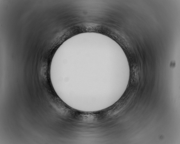 X0000101190698200807251003