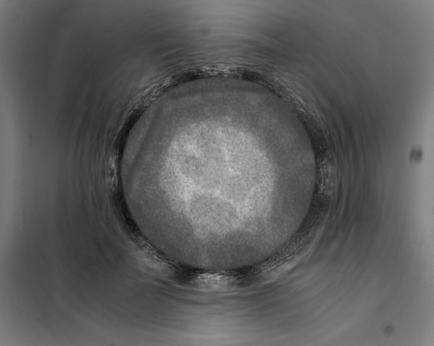 X0000101190699200807251003