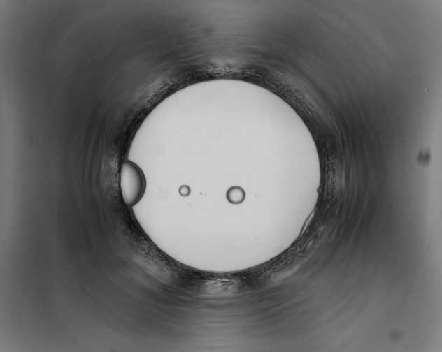 X0000101190700200807251003
