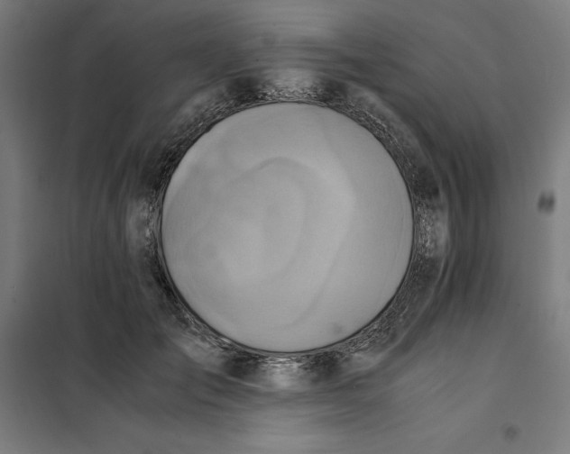 X0000101190701200807251003