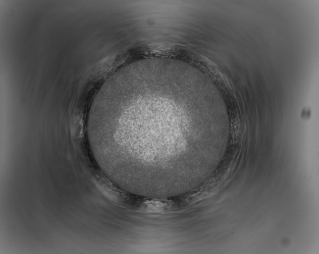 X0000101190703200807251003