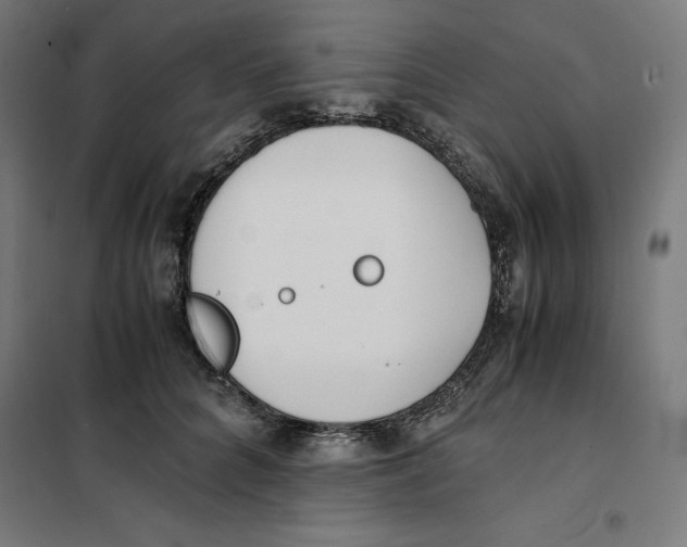 X0000101190704200807251003