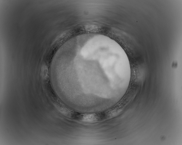 X0000101190705200807251003
